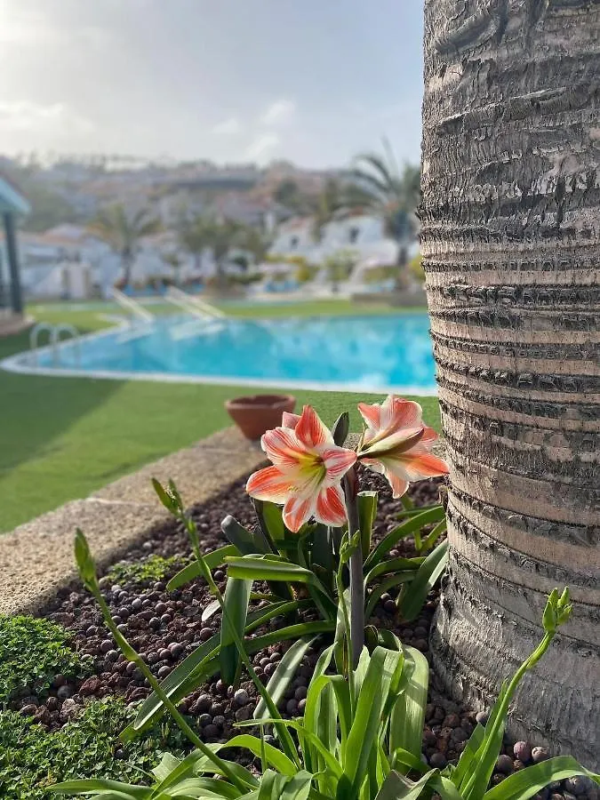 Apartment Malibu Sun & Relax Costa Adeje  0*, Costa Adeje (Tenerife)